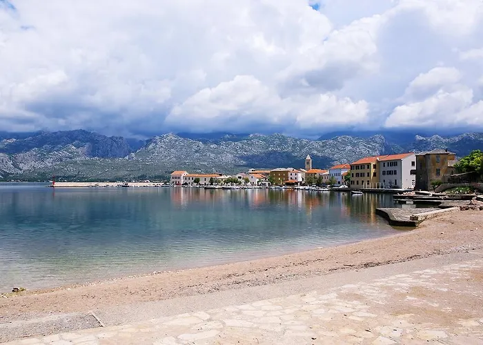 Tamarix 빈예라크