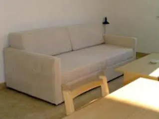 Tamarix * 빈예라크